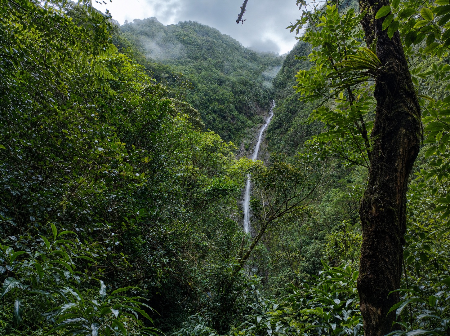 La Cascade Biberon 1