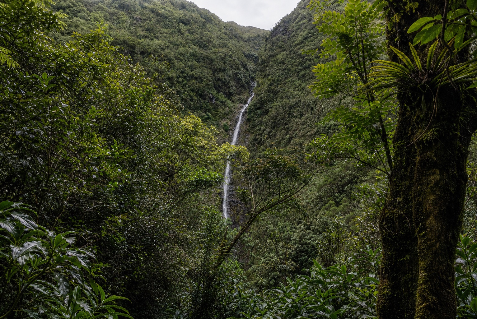 La Cascade Biberon 4