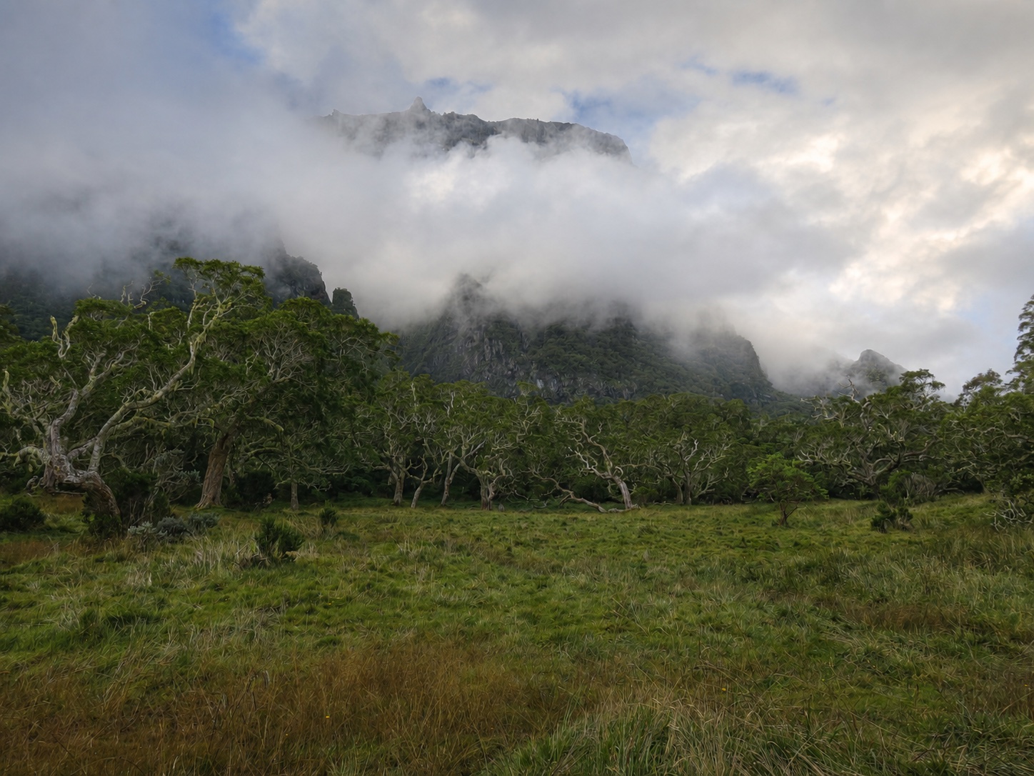 La Plaine des Tamarins dans les nuages
