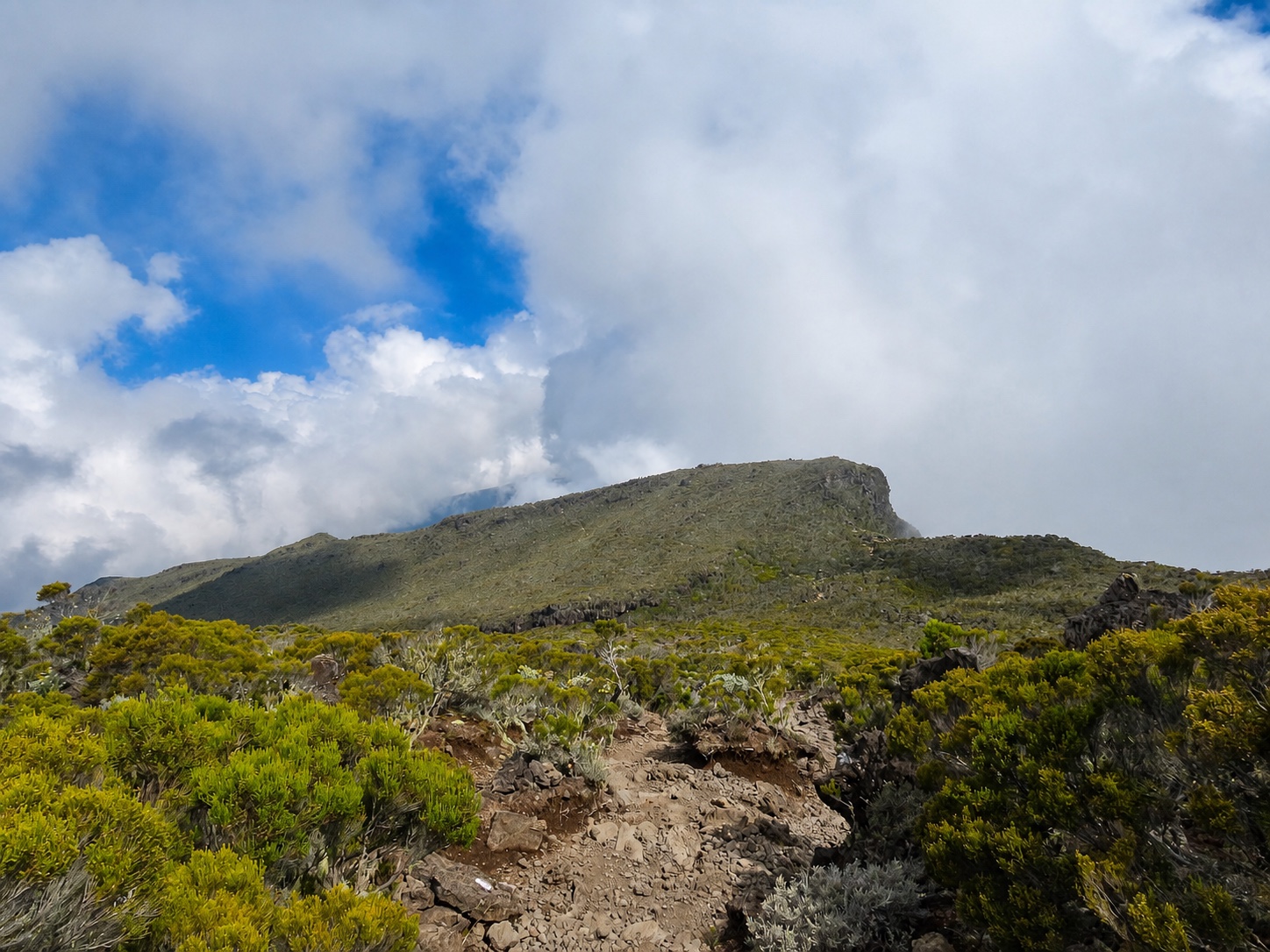 Piton des Neiges 3