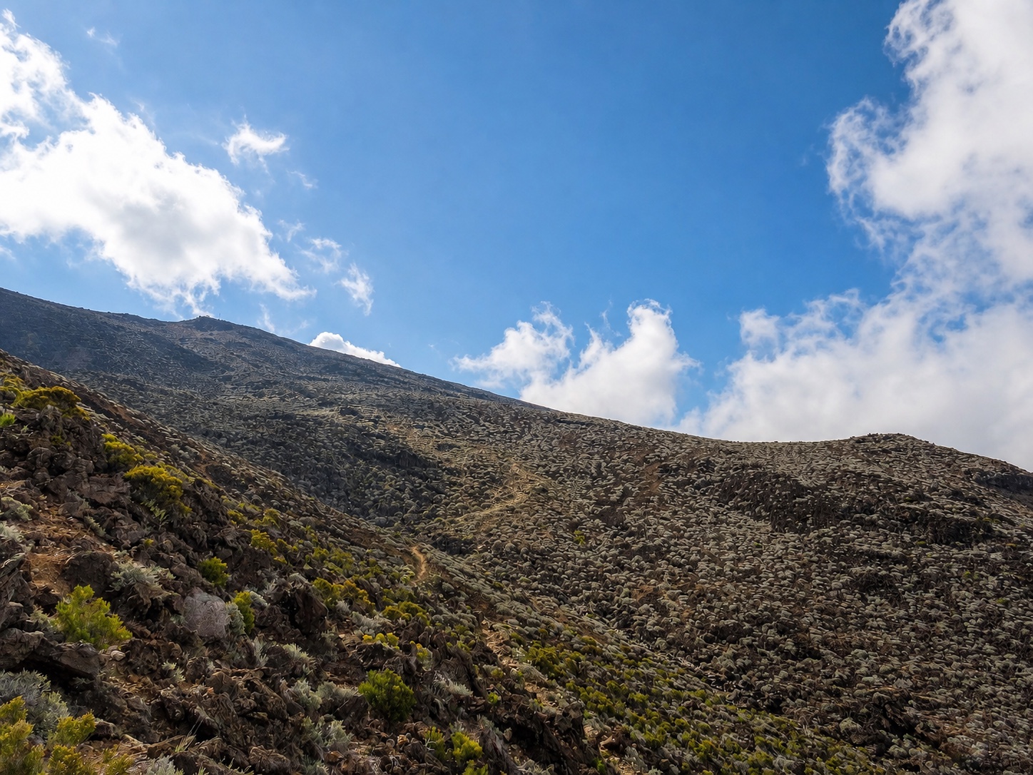 Piton des Neiges 4